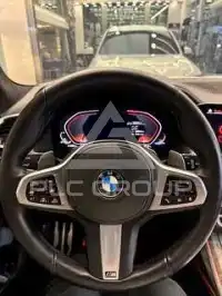 2019 BMW X7