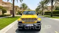 2019 Jeep WRANGLER