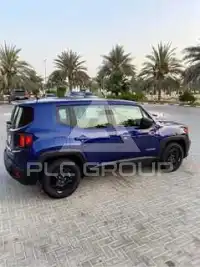 2019 Jeep Renegade