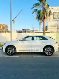 2019 Audi Q8