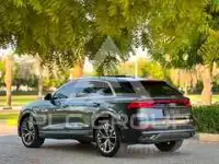 2019 Audi Q8