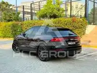 2019 Audi Q8