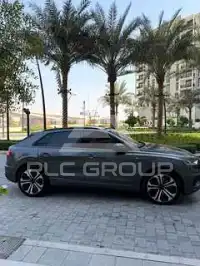 2019 Audi Q8