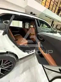 2019 Audi Q8