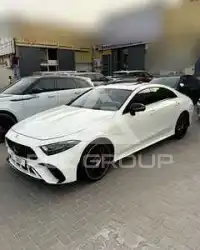 2019 Mercedes Benz CLS-Class