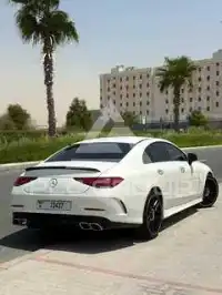 2019 Mercedes Benz CLS-Class