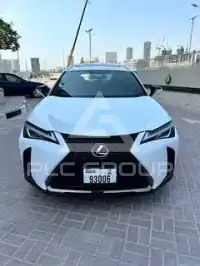 2019 Lexus UX