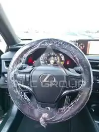 2019 Lexus UX