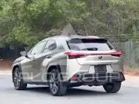 2019 Lexus UX