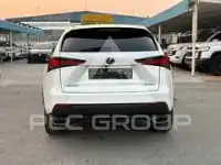 2019 Lexus NX
