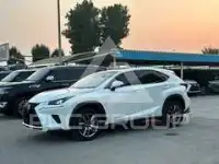 2019 Lexus NX