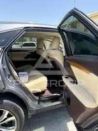2019 Lexus RX