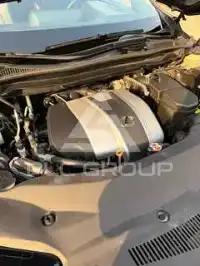 2019 Lexus RX