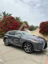 2019 Lexus RX