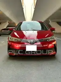 2019 Toyota COROLLA