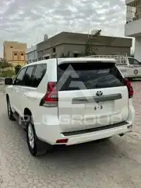 2019 Toyota Prado