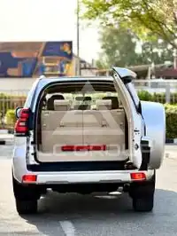 2019 Toyota Prado
