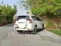2019 Toyota Prado