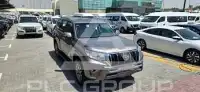 2019 Toyota Prado