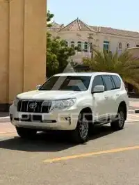 2019 Toyota Prado