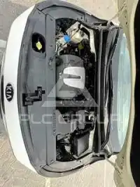 2019 KIA Carnival