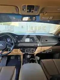 2019 KIA Carnival