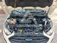 2019 Ford Eco Sport