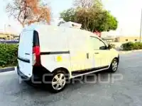 2019 Renault Dokker