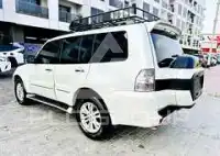 2020 Mitsubishi PAJARO