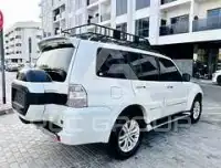 2020 Mitsubishi PAJARO