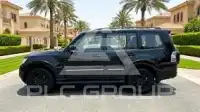 2020 Mitsubishi PAJARO