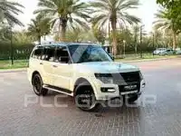 2020 Mitsubishi PAJARO