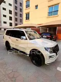 2020 Mitsubishi PAJARO