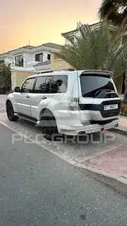 2020 Mitsubishi PAJARO