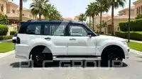 2020 Mitsubishi PAJARO