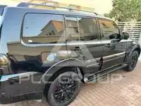 2020 Mitsubishi PAJARO
