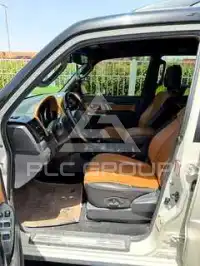 2020 Mitsubishi PAJARO