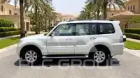 2020 Mitsubishi PAJARO