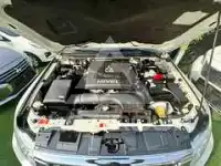 2020 Mitsubishi PAJARO