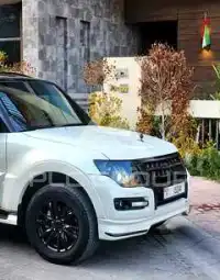 2020 Mitsubishi PAJARO