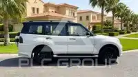2020 Mitsubishi PAJARO