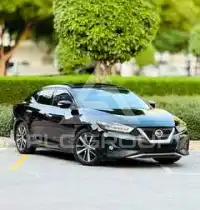 2020 Nissan MAXIMA