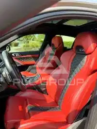 2020 BMW X6