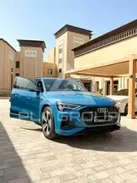 2020 Audi Q8
