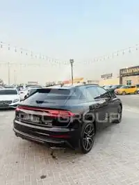 2020 Audi Q8