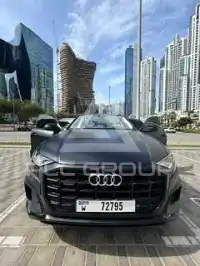 2020 Audi Q8