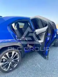 2020 Lexus UX