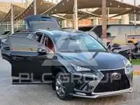 2020 Lexus NX