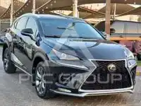 2020 Lexus NX
