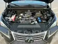 2020 Lexus NX